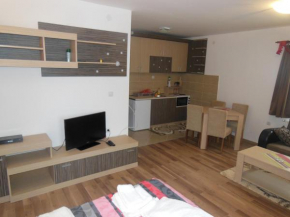  Apartments Panovic  Копаоник